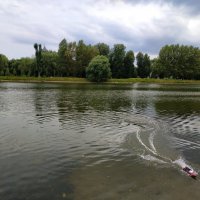 Водоплавающее :: Андрей Лукьянов