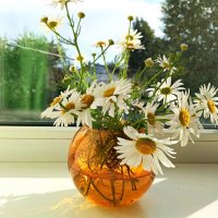 *** :: Любовь Сахарова *** :: Любовь Сахарова