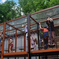 В зоопарке и детки в клетке. :: Татьяна Помогалова