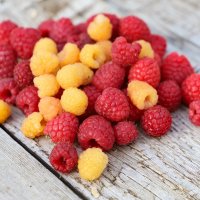 малинка :: краснов юрий малинка :: краснов юрий