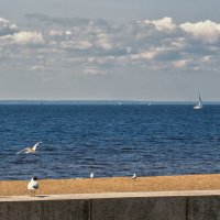 Пляж... :: Сергей Шатохин 