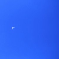 Вечный спутник :: Юрий Гайворонскiий Вечный спутник :: Юрий Гайворонскiий