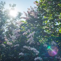 *** :: Иваннович *