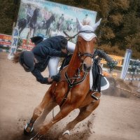 * :: Дмитрий Пряхин