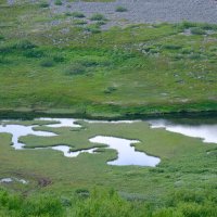 Озерные пазлы ) :: Андрей Зайцев
