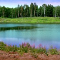 Когда цветёт Иван-чай... :: Нэля Лысенко