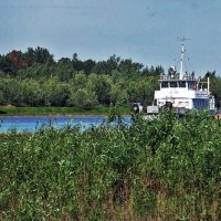 Июнь на протоке Юганская Обь! :: Владимир 