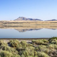 НЛО :: **** vedin НЛО :: **** vedin