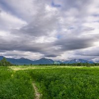 ... :: Жора Житников