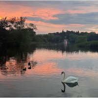 Вечер на озере. :: Валерия Комова Вечер на озере. :: Валерия Комова