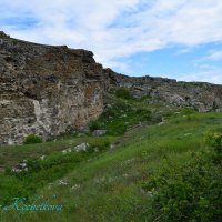 Природа Крыма :: Amazing Cosmea Природа Крыма :: Amazing Cosmea