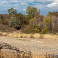 Осень :: Игорь Сикорский Осень :: Игорь Сикорский