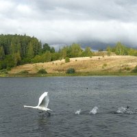 На взлет :: Ирина 