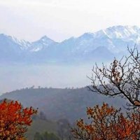 ПО НИЗАМ. :: Виктор Осипчук ПО НИЗАМ. :: Виктор Осипчук