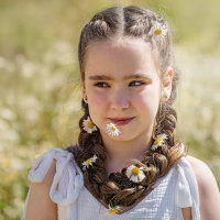 Ромашковое лето :: Svetlana Galvez