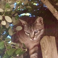 В засаде :: А  И М