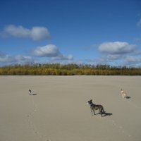 У городской протоки :: Anna Ivanova У городской протоки :: Anna Ivanova