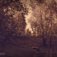 "Затерянный помост. Графика лета". ("Шагающий") © :: Владимир Макаров