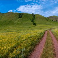 *** :: Алексей Мезенцев