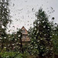 Дождь :: Наталья Герасимова