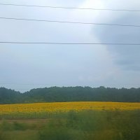 Дорога, дорога... :: Pippa 