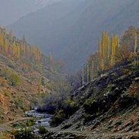 ПО НИЗАМ. :: Виктор Осипчук