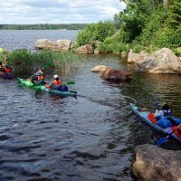 Куда и Зачем? :: Игорь Корф