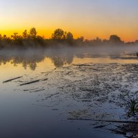 **** :: Виталий Емельянов