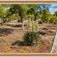 Дорожка :: Анатолий Чикчирный