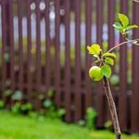 Молодым нужна поддержка :: Валерий Иванович