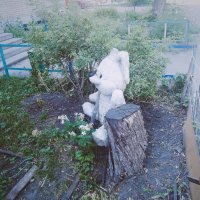 Белый мишка в, гостях лета. :: Игорь Солдаткин