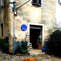 Собачка :: Натали 