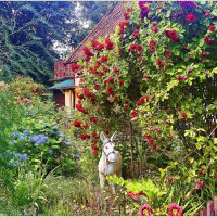 В палисаднике. :: Валерия Комова В палисаднике. :: Валерия Комова