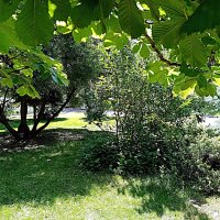 Московский двор. :: Владимир Драгунский