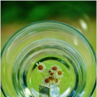 ЭКСПЕРЕМЕНТЫ СО СТЕКЛОМ... :: Elvira E. 