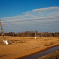 по дороге... :: M Marikfoto