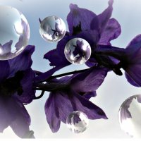 Фантазия :: Ирина 