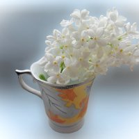 Нежность :: Ирина 