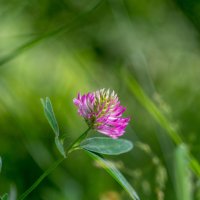 ___ :: Yuriy V ___ :: Yuriy V