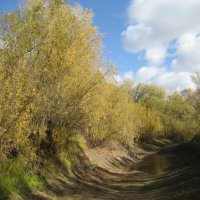 Осень :: Anna Ivanova