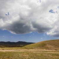 Неспроста появилось,вымокли))) :: LudMila 