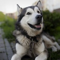 Ярик. :: leff Postnov Ярик. :: leff Postnov