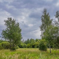 В поле... :: Владимир Жданов