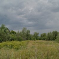 Июль,вечер. :: сергей ермошкин Июль,вечер. :: сергей ермошкин