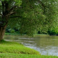 Река Кубань :: Игорь Сикорский