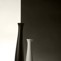 Чёрное и белое 1 :: Вениамин Скородумов