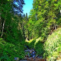 ВОДОПАДЫ. :: Виктор Осипчук