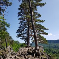 ЛАГОНАКИ :: Tata Wolf ЛАГОНАКИ :: Tata Wolf