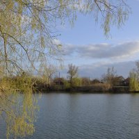 **** :: Виктор 