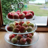 Щедрый июль. :: Венера Чуйкова